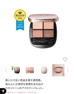 コスメデコルテ スキンシャドウ デザイニング パレット 06