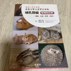 Item thumbnail for item 70b78693-6d2e-4b97-be33-27a6e3691d65