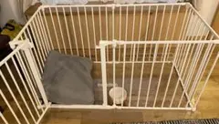 Item thumbnail for item c278f63f-d364-4cf1-ab31-5b63b7d12b89