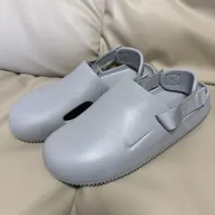 Item thumbnail for item 6c518cb9-a2dd-4797-9c54-4df678fc3b49