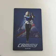 ストリートファイター 6 キャラクタブルミラー キャミィ