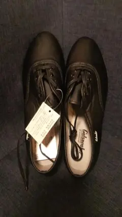 Item thumbnail for item 1fb1fa6f-3605-4d07-b9ac-4c867d721d92