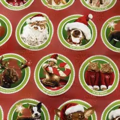 ROBERT KAUFMANクリスマス動物プリント生地