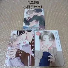 美山薫子先生「パーフェクトアディクション」小冊子3種セット