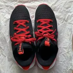NIKE LEBRON ウィットネス5EP
