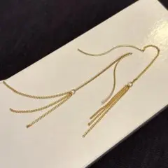 アメリカンピアス　⛓️long
