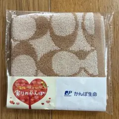 COACH 新品 タオルハンカチ