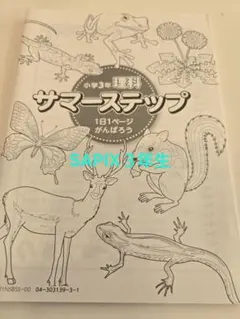 Item thumbnail for item e91960f9-cd0c-40c5-a749-f5da05824aeb