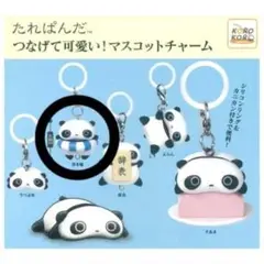 たれぱんだ つなげてかわいい マスコットチャーム 浮き輪