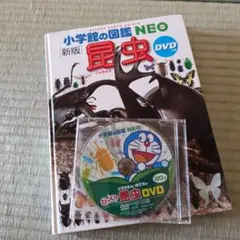 【3/1出品終了】小学館の図鑑NEO 新版 昆虫 DVD付き