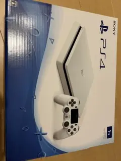 PS4 プレイステーション4 本体　1TB 付属品全てあり