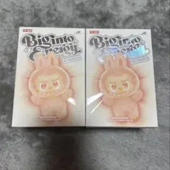 新品、未開封 LABUBU ラブブ Big into Energy 2個セット