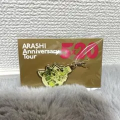 嵐5×20 会場限定チャーム第2弾　緑