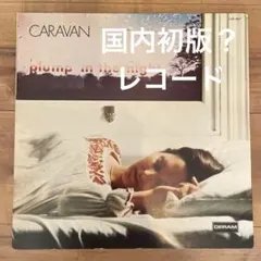 For Girls Who Grow Plump In The Night LP