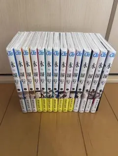 氷の城壁 1巻〜14巻　全巻