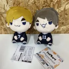 ま*あ様 ハイキュー！もちぴこ2種