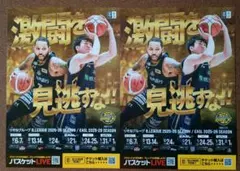 宇都宮ブレックス　BREX　比江島慎選手＆DJニュービル選手　チラシ　2枚