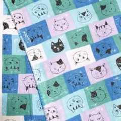 Item thumbnail for item 79c4087e-5c9a-4c5b-a8f0-0686944eb893