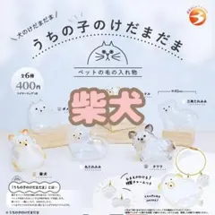 【柴犬】 うちの子のけだまだま 犬のけだまだま バラ売り ３つ