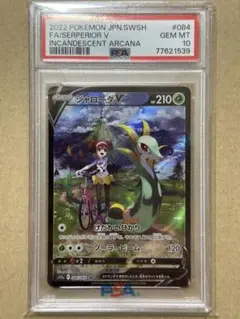 2025年最新】ジャローダv csr psa10の人気アイテム - メルカリ