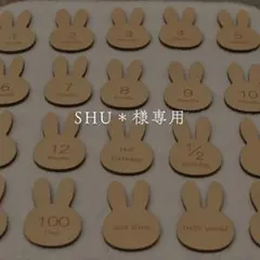 ※SHU＊様専用※ 木製 うさぎ マンスリーカード Just Born 月齢