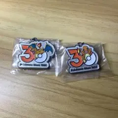 ポケモン30周年　メタルチャームマスコット　リザードン　ヒトカゲ
