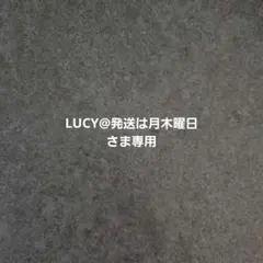 LUCY@発送は月木曜日さま専用