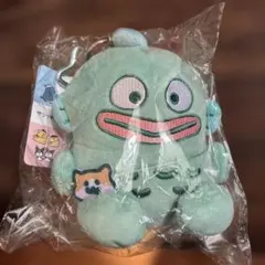 新品　ドンキ サンリオ お文具といっしょ ハンギョドン　ぬいチャームのサムネイル