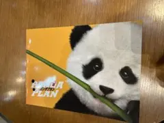 映画 パンダプラン パンフレット & 映画チラシ フライヤー