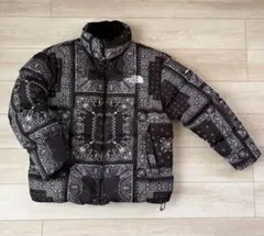 韓国限定 ノースフェイス ノベルティー ダウンジャケット ペイズリー