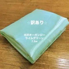 ヒレカツ定食@プロフ必読様 リクエスト 3点 まとめ商品