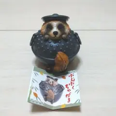 ぶんぶくちゃがま 上からたぬきさん ガチャ たぬき
