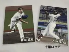 新品☆プロ野球カード2025／ 千葉ロッテマリーンズ
