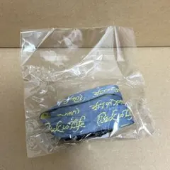 &TEAM Back to Life ユニバ　限定　9形態特典　ネックストラップ