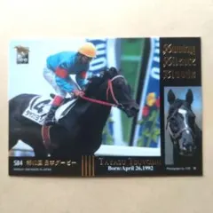 99上 競馬カード、タヤスツヨシ【3点300円】