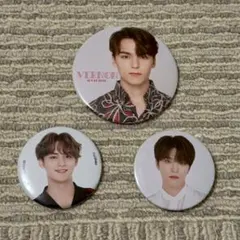 SEVENTEEN VERNON MINGYU DINO 缶バッジ 3個セット
