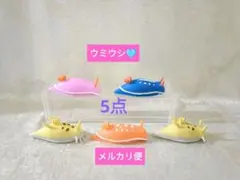 ウミウシ スクイーズ 　　うみうし
