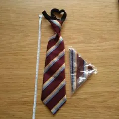 バーガンディ ストライプ ネクタイ ポケットチーフ付き