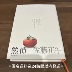 【匿名送料込】熟柿