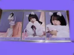 2026年最新】野口衣織 生写真 猫の人気アイテム - メルカリ