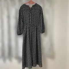 Item thumbnail for item 546caed6-1e0f-424d-a2c9-2cb61fdb1544