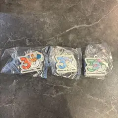 ポケモン 30周年 メタルチャームマスコット リザードン・フシギバナ・カメックス