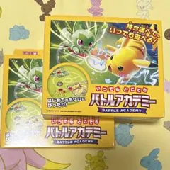 ポケモンカード いつでもどこでもバトルアカデミー 2つ