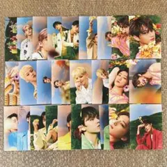 SEVENTEEN セブチ フォトカード SECTOR17 ジョンハン ウォヌ