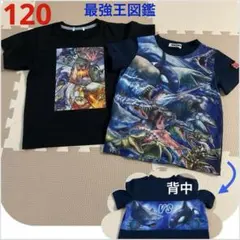 最強王図鑑　120 Tシャツ　2枚　最強王　ドラゴン　海　水中　水族館　シャチのサムネイル