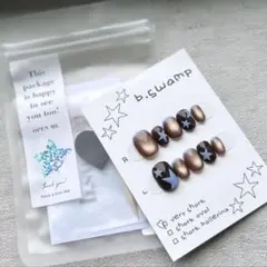 ネイルチップ現品 /マグネット/星/ブラウン/ブルー/韓国/個性的/フレンチ