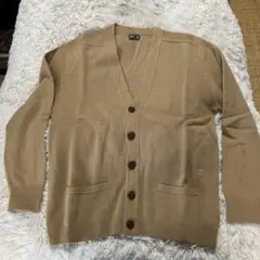 Item thumbnail for item 465dc399-fc60-47a9-aeae-fedd1294ea22