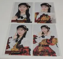 AKB48佐藤綺星 春コンサート2026 ランダムハーフサイズ生写真コンプ