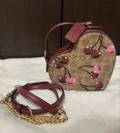 COACH トップハンドル カード ケース クリスタル シグネチャー ジャ