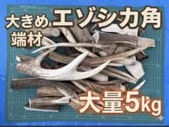 【天然素材】エゾシカ角 端材 大量5kg 鹿角 ⑤ 天然素材】エゾシカ角 端材 大量5kg 鹿角 ⑤ - メルカリ